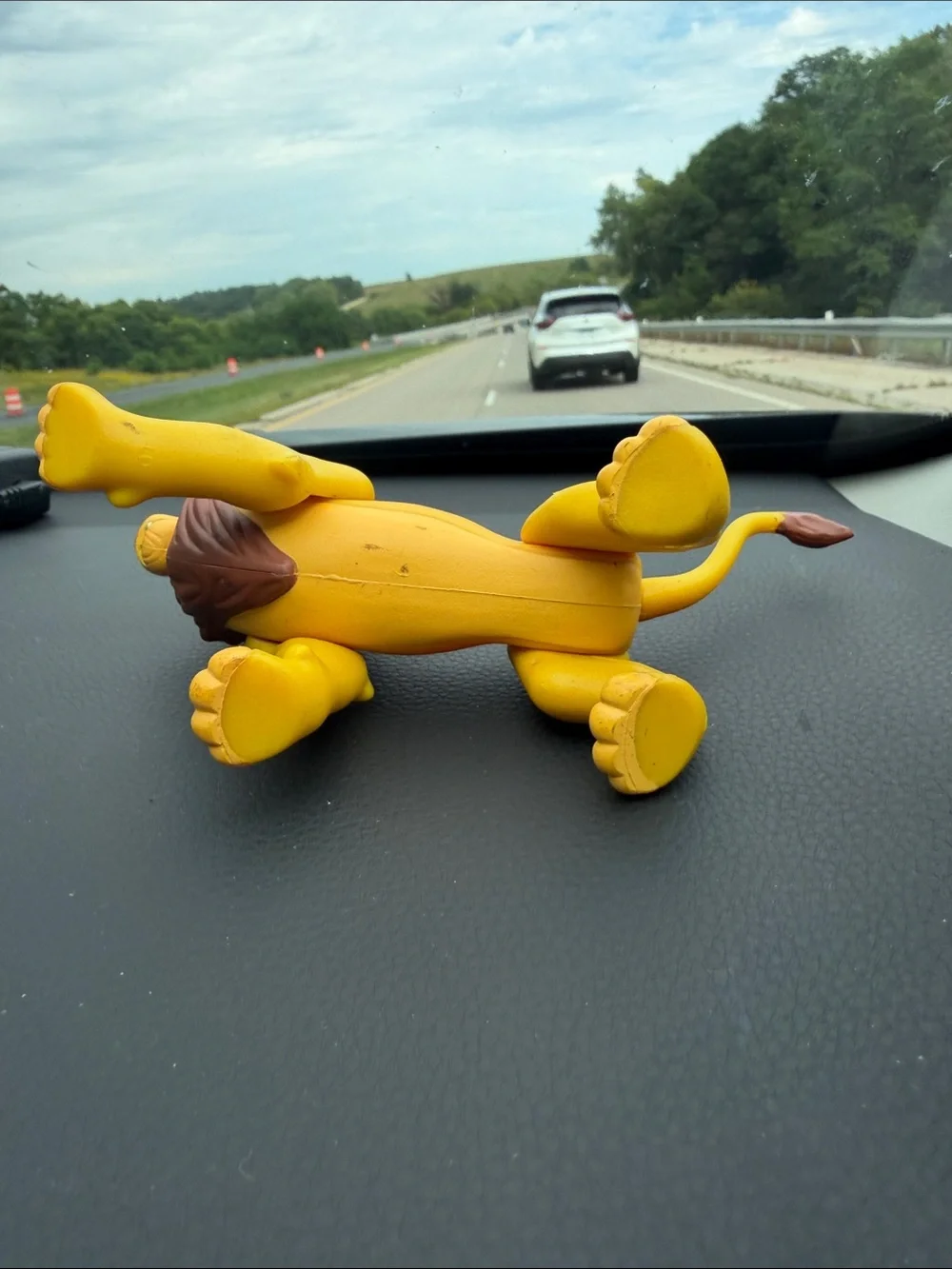 N/A disney lion